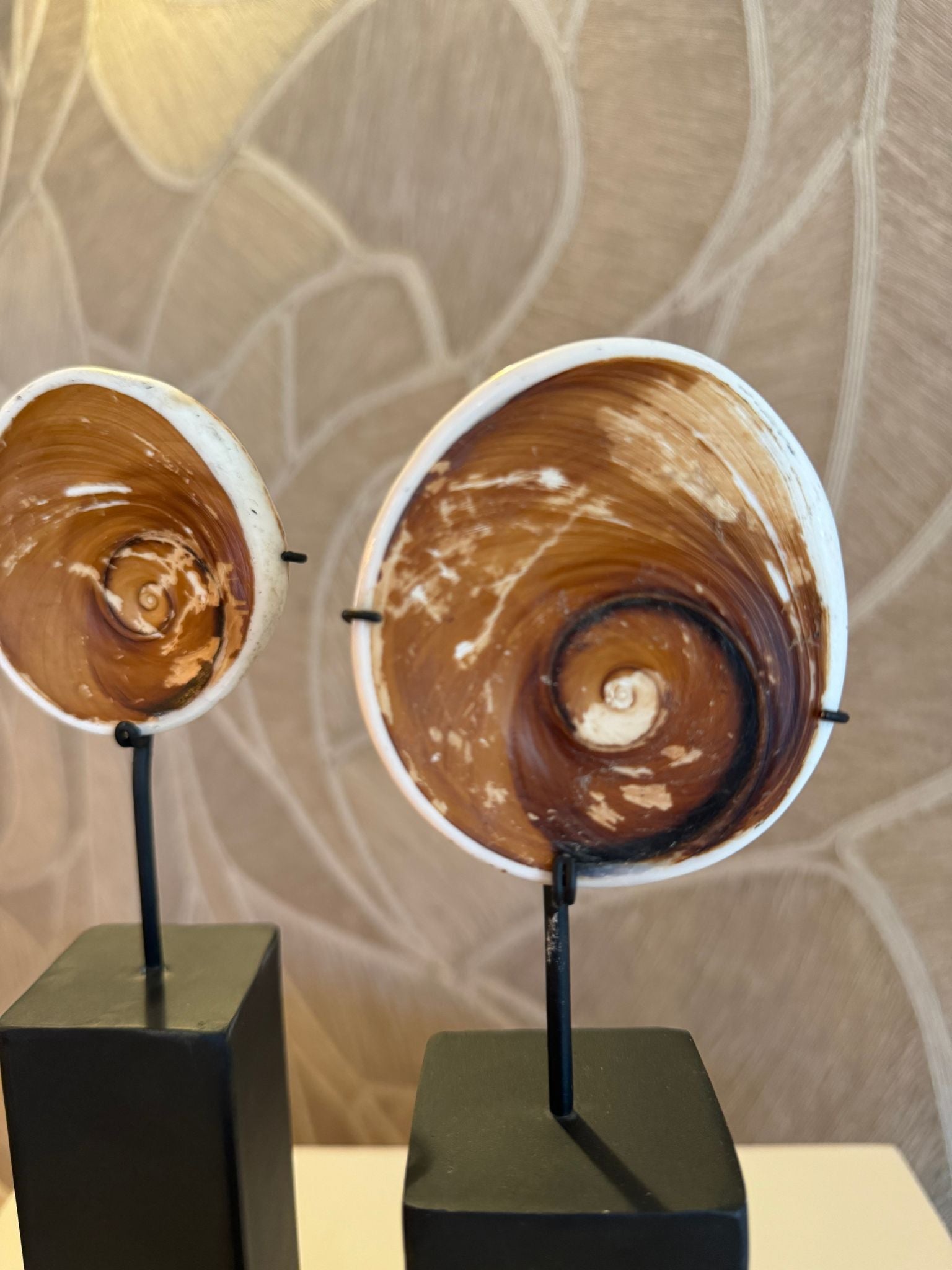 Yara schelp op standaard - Interior pieces