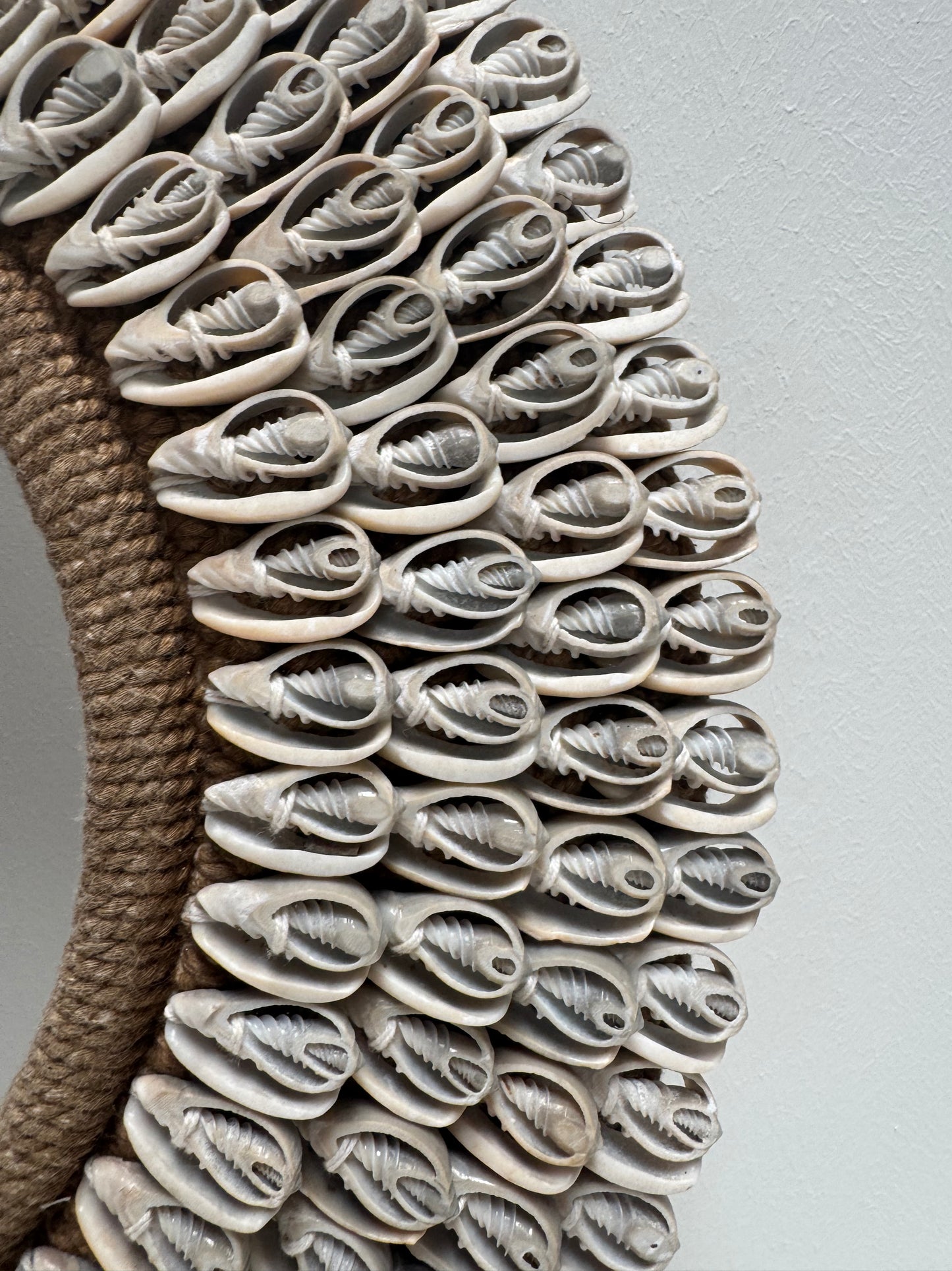 Schelpenkrans