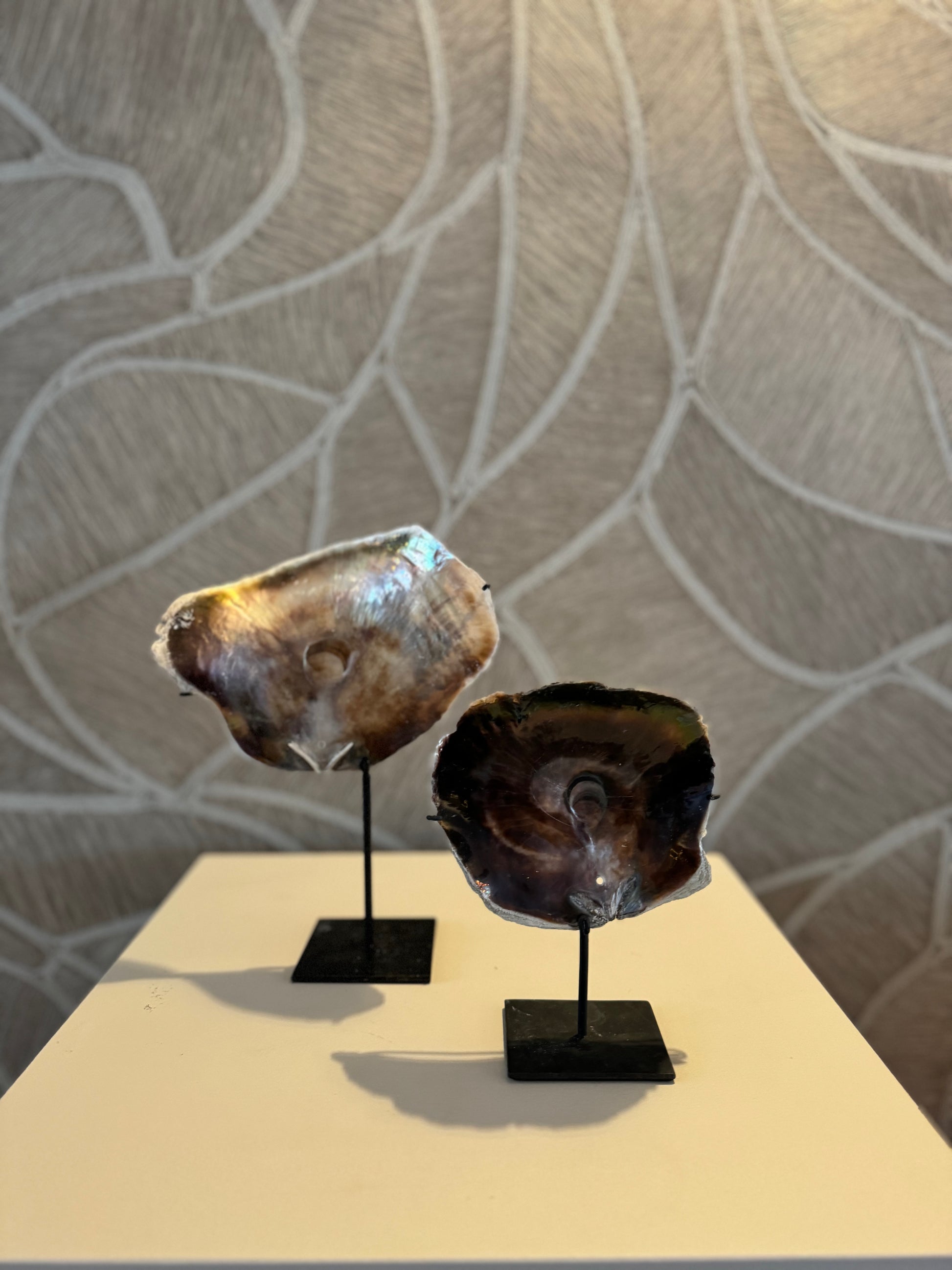 Kiara schelp - Interior pieces