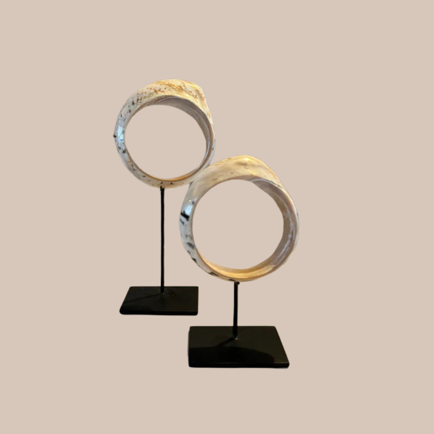 Moana bracelet schelp - Interior pieces