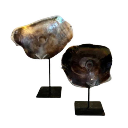 Kiara schelp - Interior pieces
